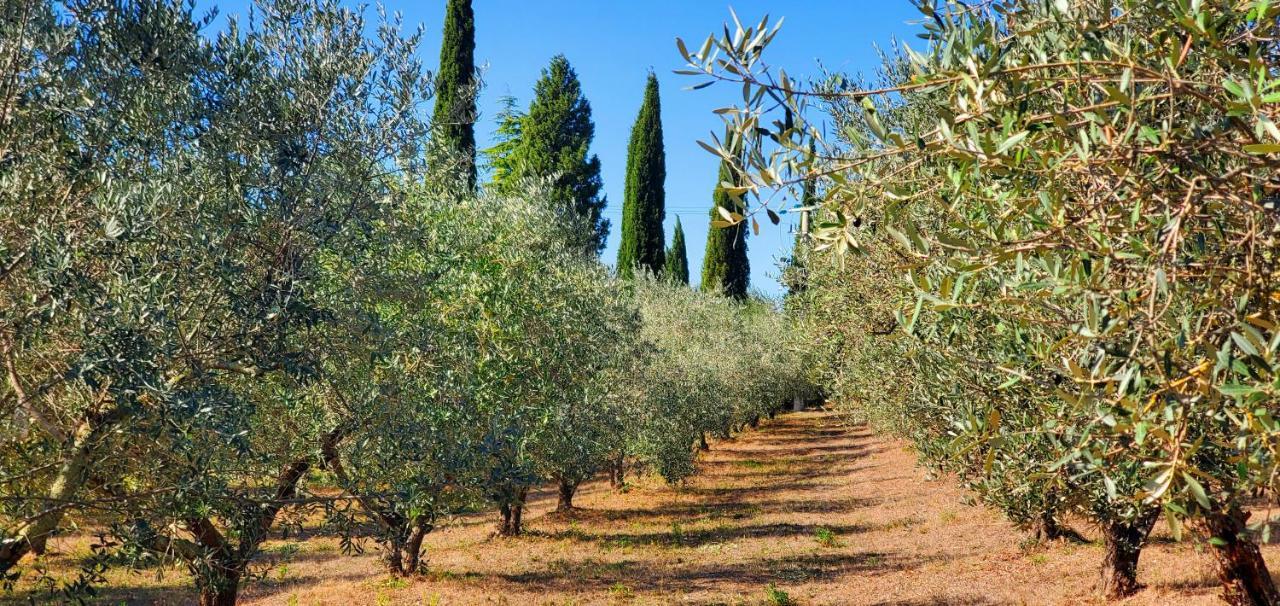فيلا La Volpaia 1521 Barberino di Val dʼElsa المظهر الخارجي الصورة