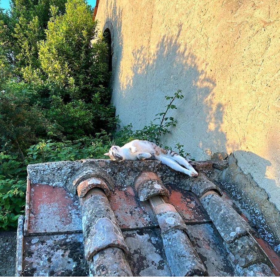 فيلا La Volpaia 1521 Barberino di Val dʼElsa المظهر الخارجي الصورة